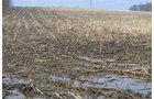 Property photo 43 - 98+/- Acres Offered in 6 Tracts or Combinations, Noble County, Indiana Farm